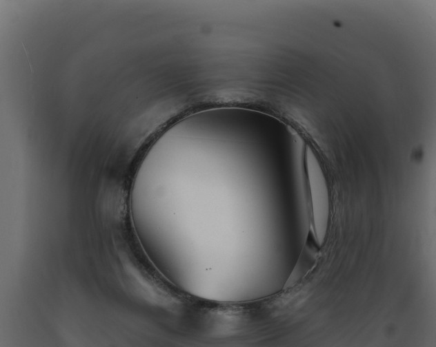 X0000089930164200707061047