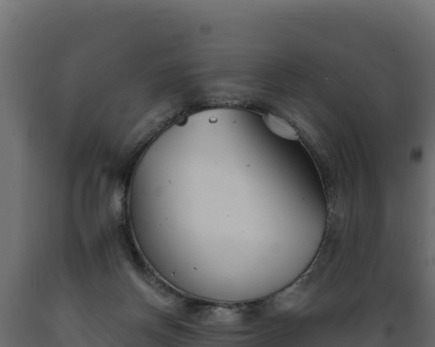 X0000089930166200707061047