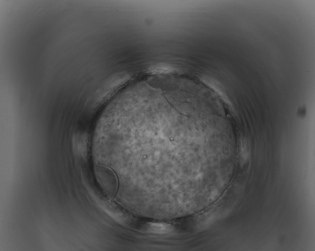 X0000089930167200707061047