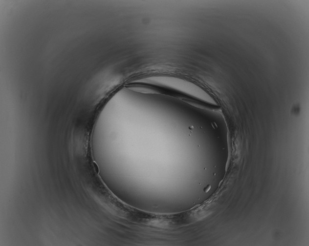 X0000089930168200707061047