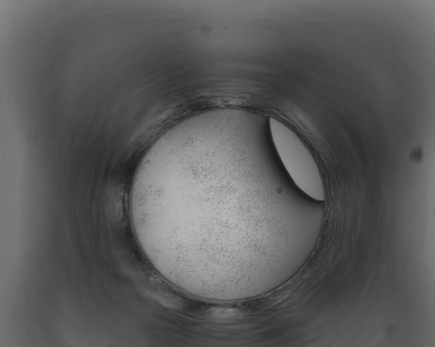 X0000089930169200707061047