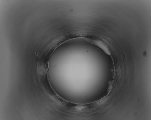 X0000089930172200707061047