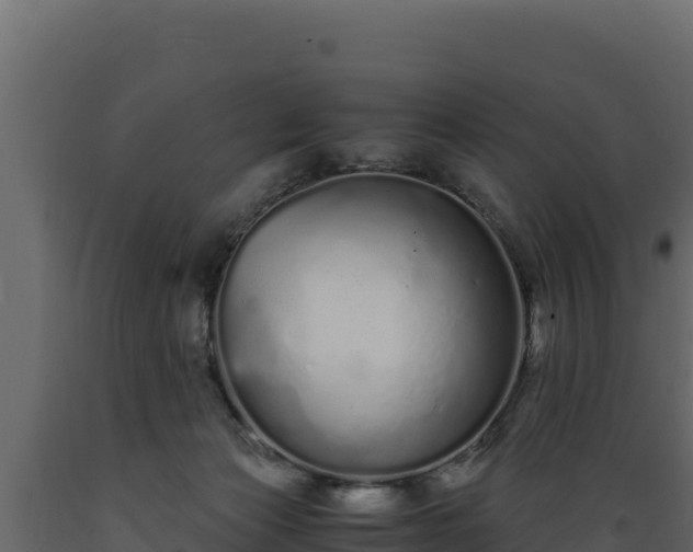 X0000089930173200707061047