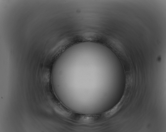 X0000089930174200707061047