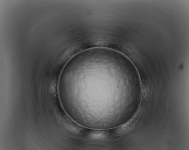 X0000089930175200707061047