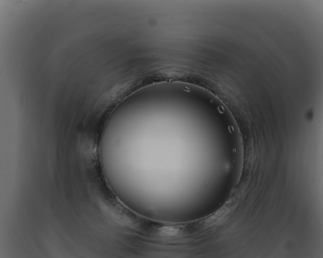 X0000089930176200707061047