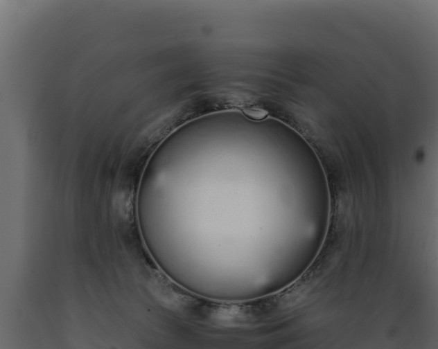 X0000089930177200707061047