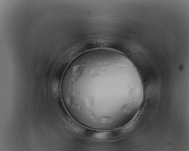 X0000089930178200707061047