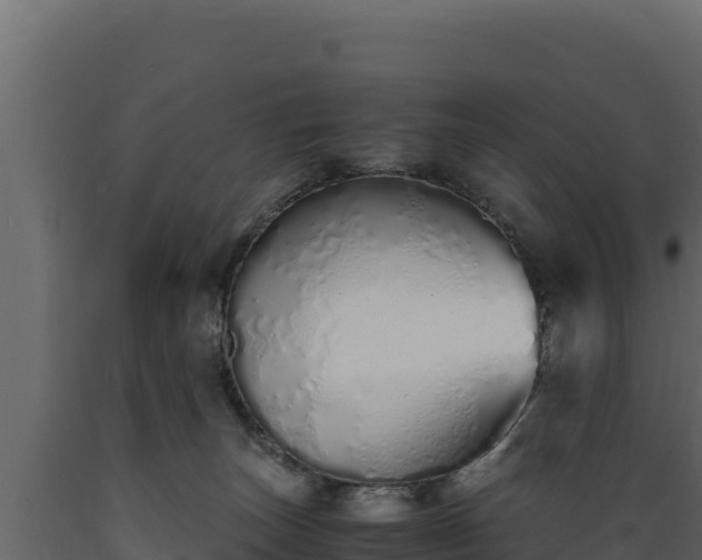 X0000089930179200707061047