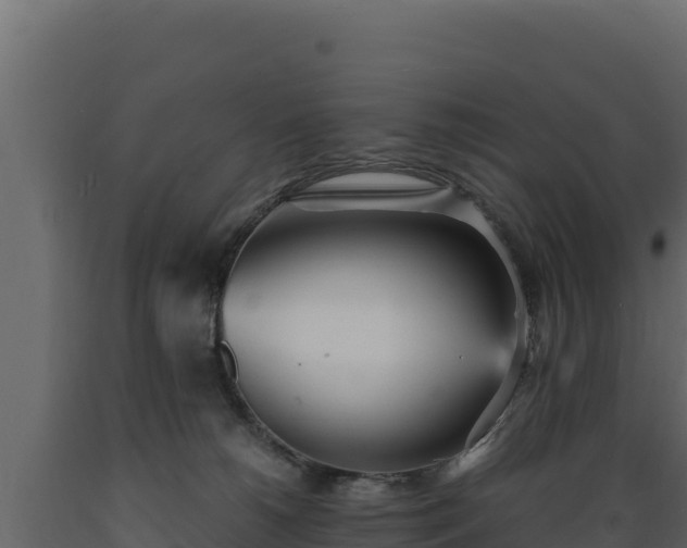 X0000089930180200707061047