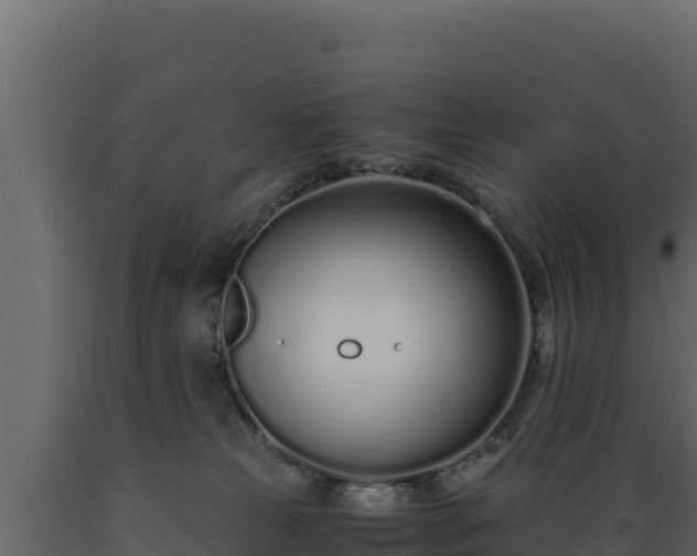 X0000089930181200707061047