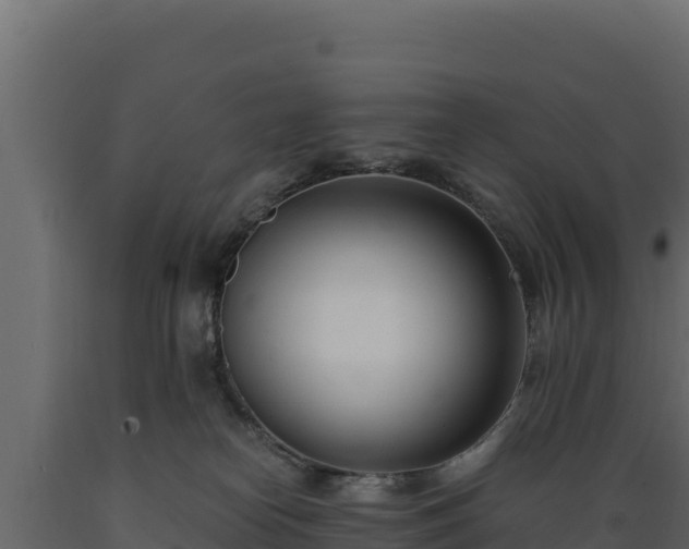 X0000089930182200707061047