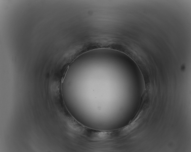 X0000089930184200707061047