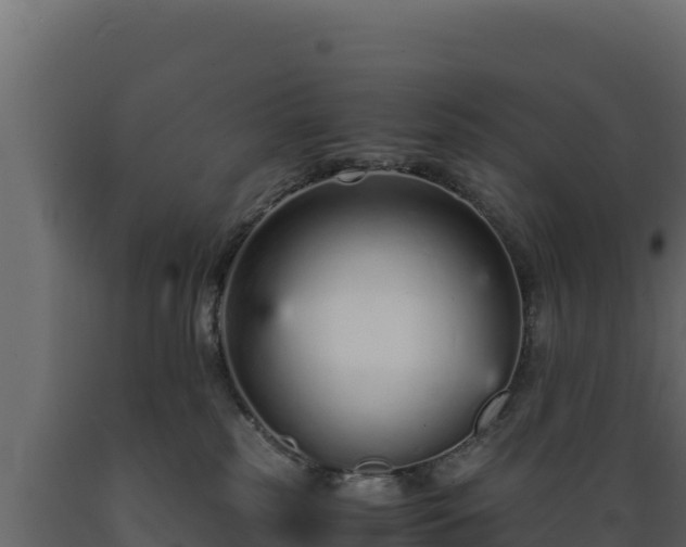 X0000089930185200707061047