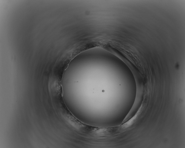 X0000089930186200707061047