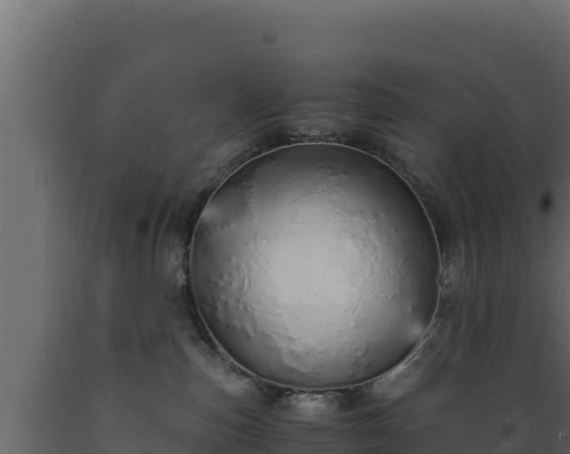 X0000089930187200707061047