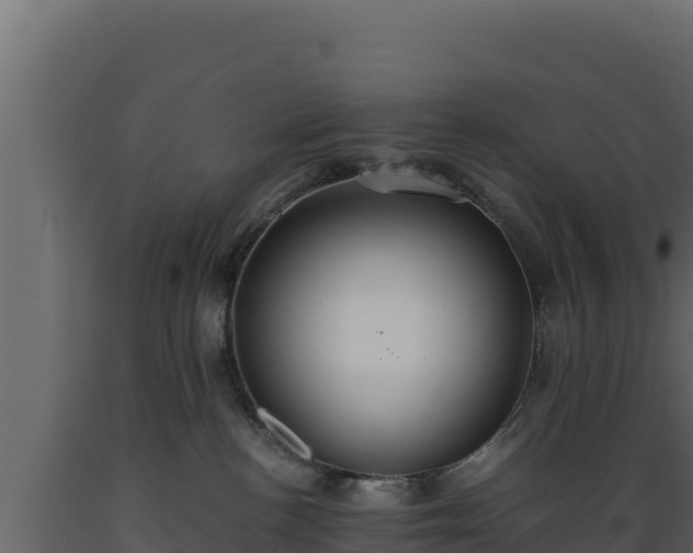 X0000089930188200707061047