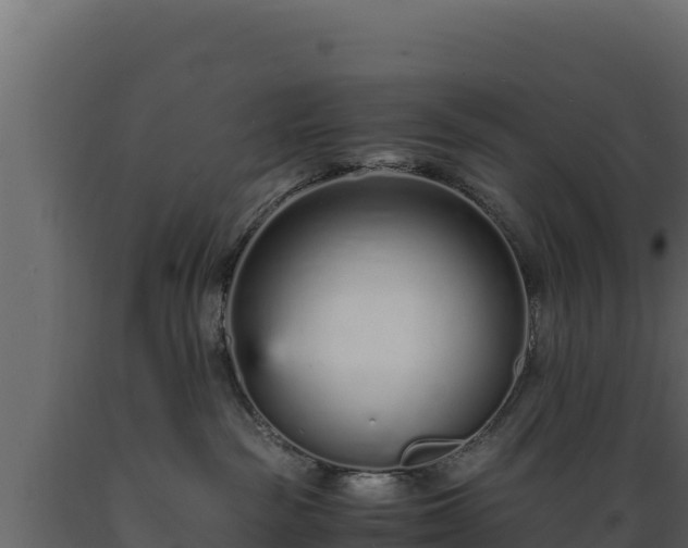 X0000089930189200707061047