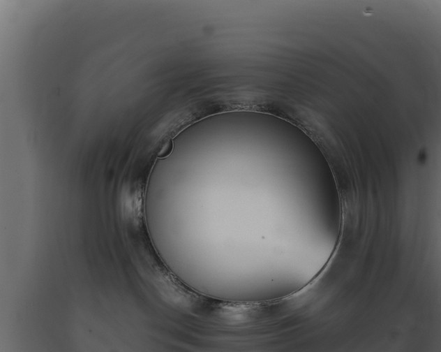 X0000089930190200707061047