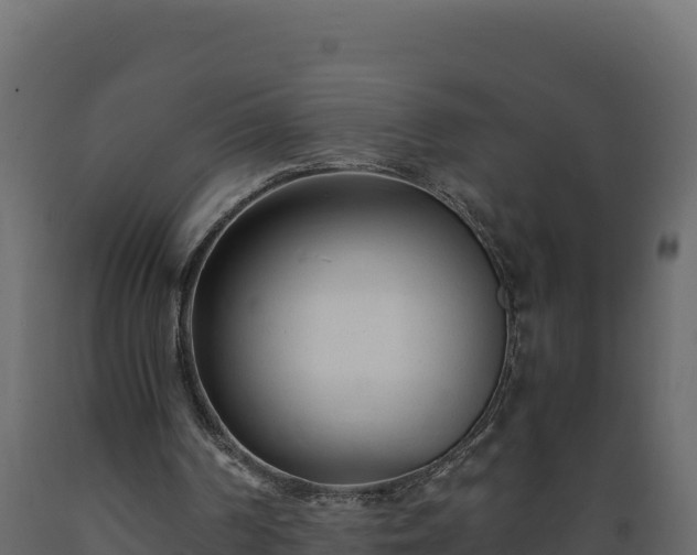 X0000089930194200707061046