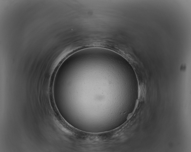 X0000089930195200707061046