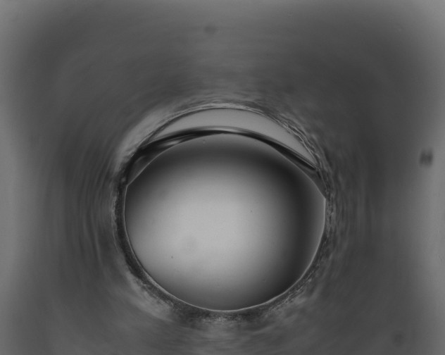 X0000089930197200707061046