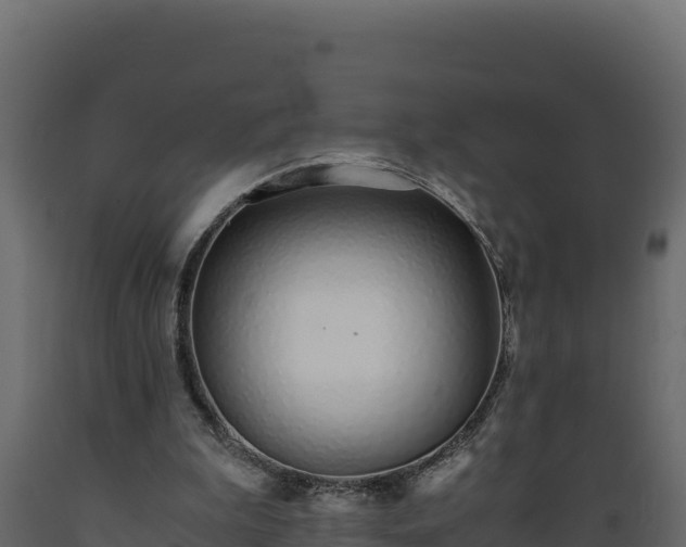 X0000089930199200707061046