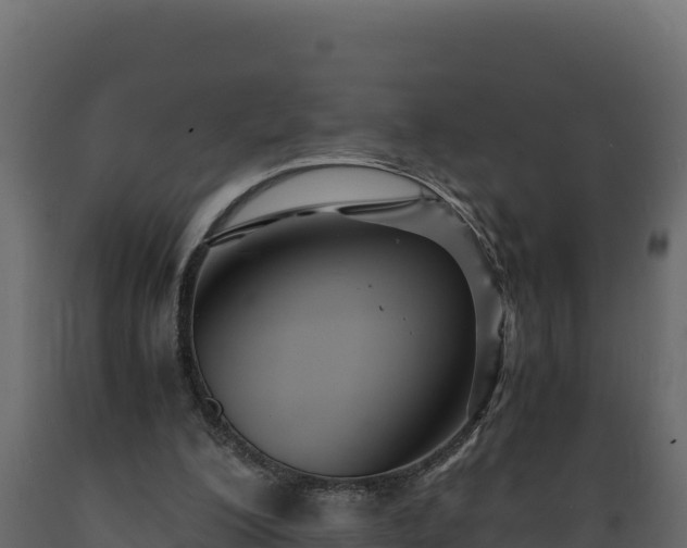 X0000089930200200707061046