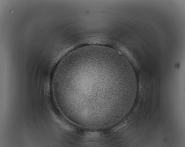 X0000089930202200707061046