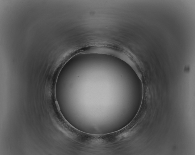 X0000089930203200707061046