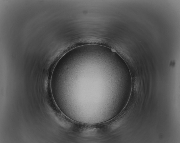 X0000089930206200707061046