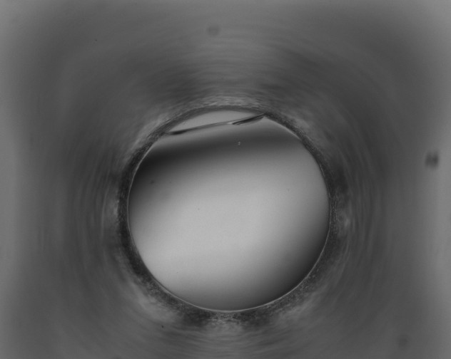 X0000089930207200707061046