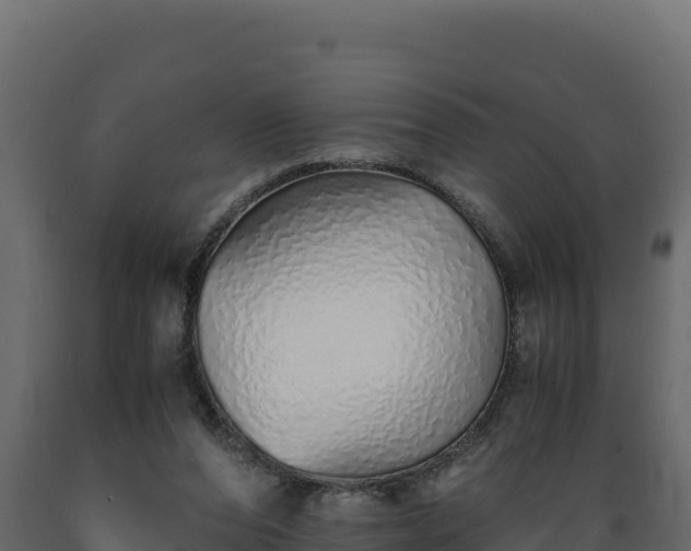 X0000089930208200707061046