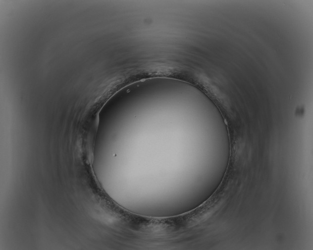 X0000089930209200707061046