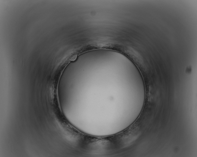 X0000089930210200707061046