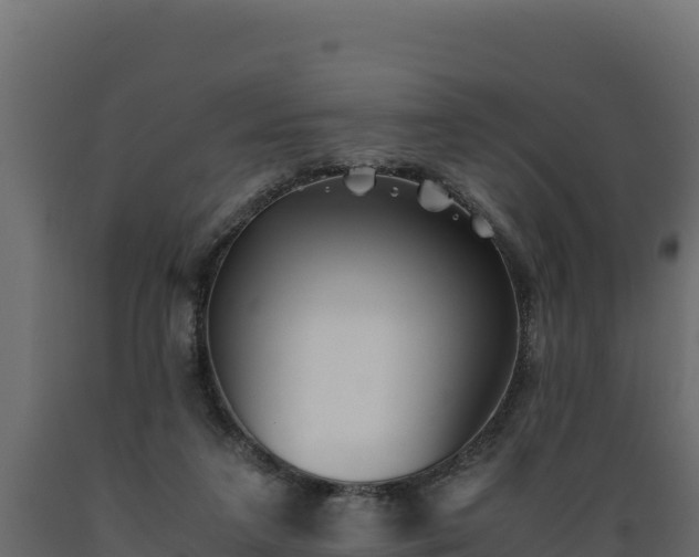 X0000089930211200707061046