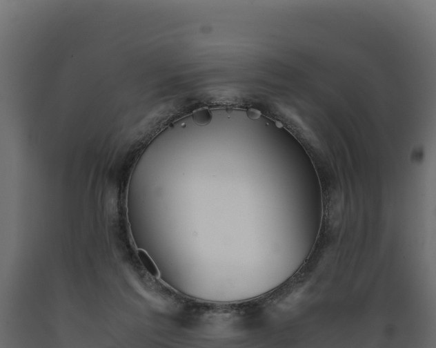 X0000089930213200707061046