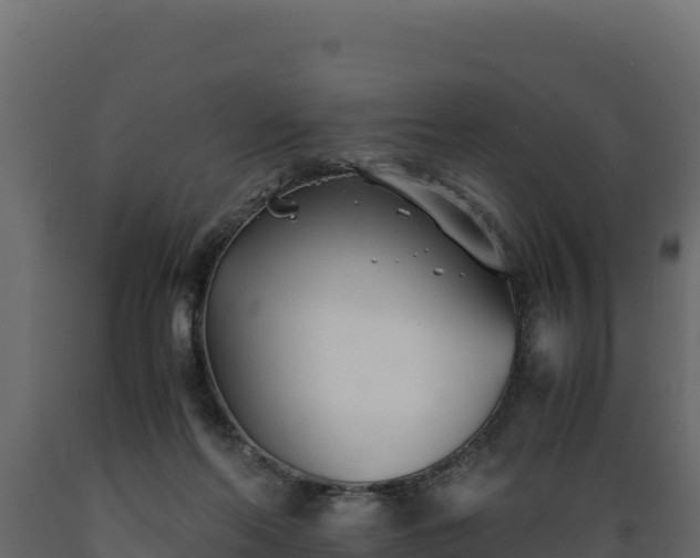 X0000089930214200707061046