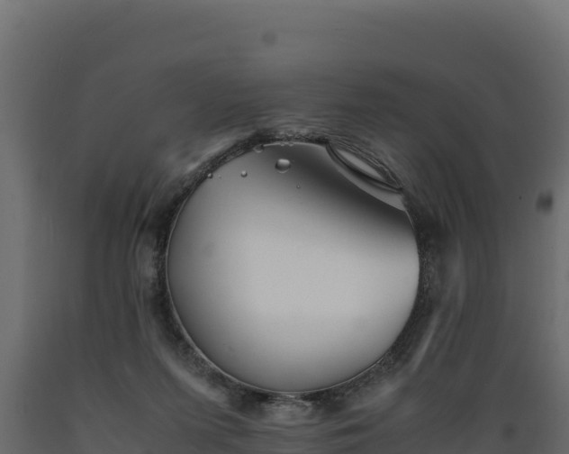 X0000089930215200707061046