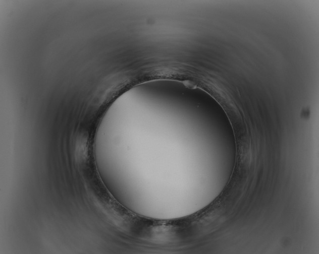 X0000089930216200707061046