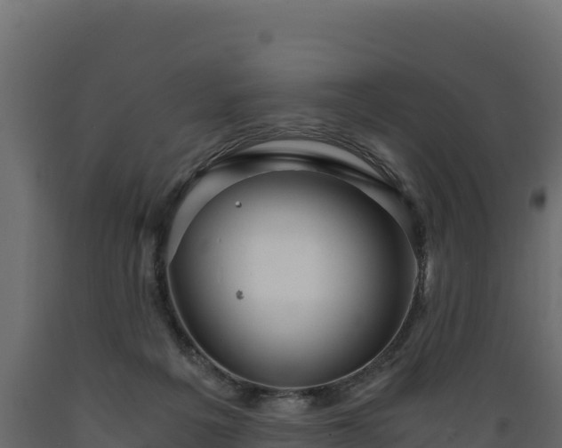 X0000089930217200707061046