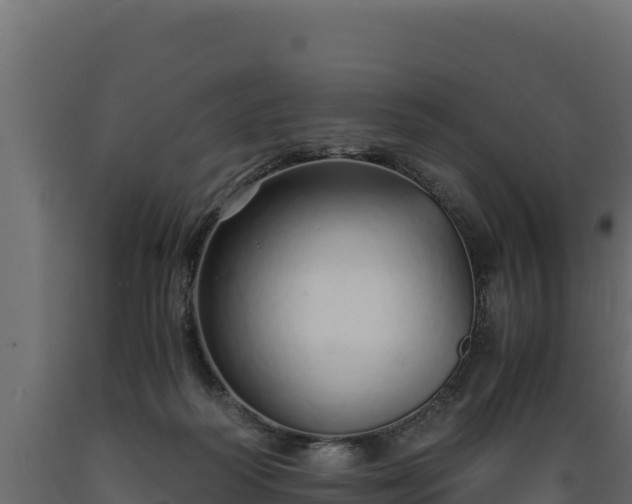 X0000089930218200707061046