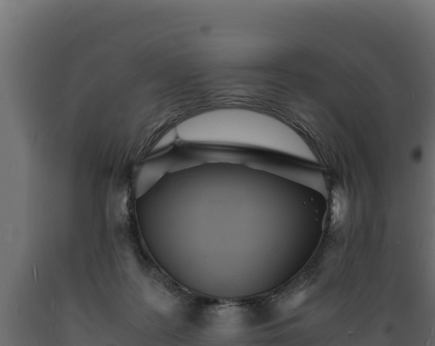 X0000089930219200707061046