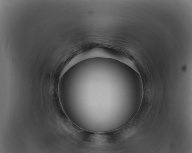 X0000089930221200707061046