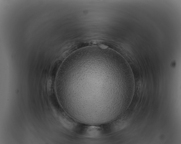 X0000089930222200707061046