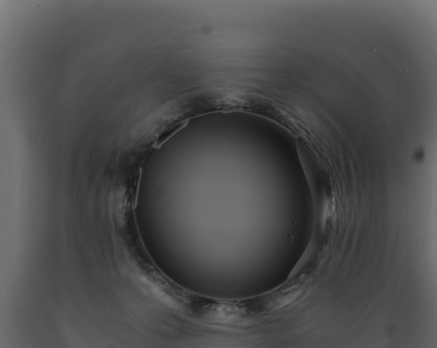 X0000089930223200707061046