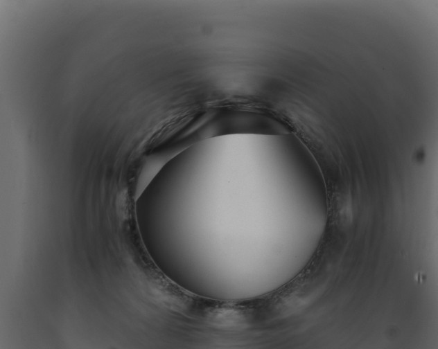 X0000089930224200707061046