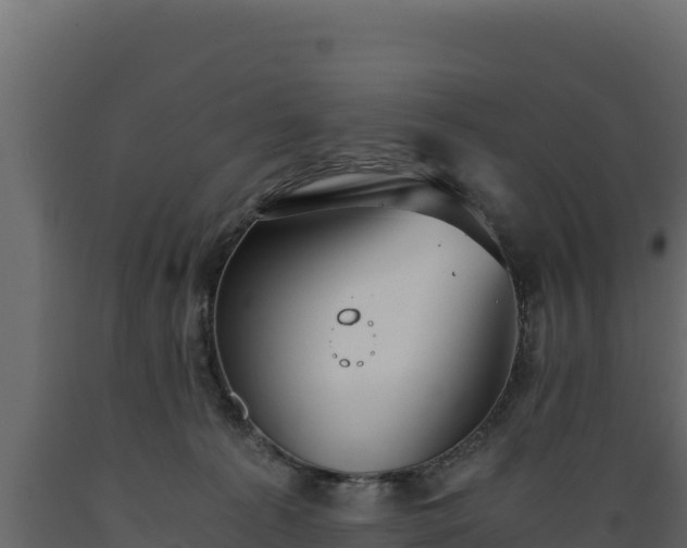 X0000089930225200707061046