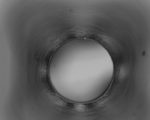 X0000089930226200707061046