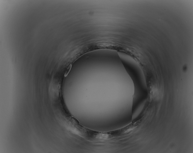 X0000089930227200707061046